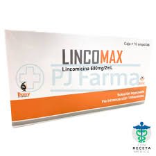 download LINCOMICINA 600MG/2ML X 10 AMP