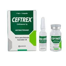 download CEFTREX 1G PVO SUS INY X 1 VIAL